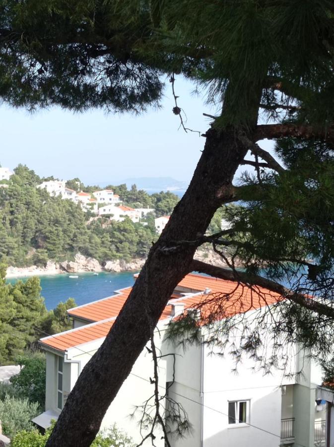 Nemira Beach Apartments Omiš Esterno foto